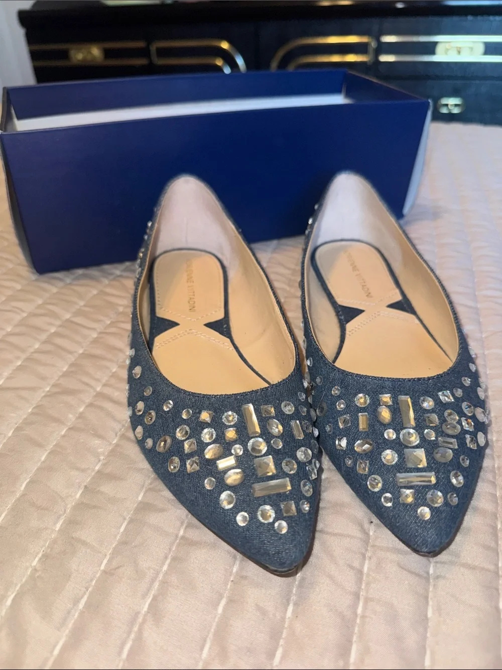 Adrienne Vittadini Denim  Pointed Toe Flats with Gem Studs